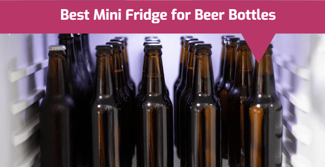 Best Mini Fridge for Beer Bottles
